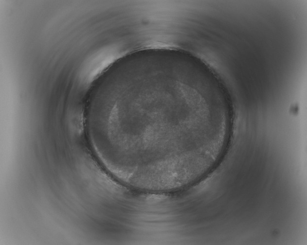 X0000112851306200909181726