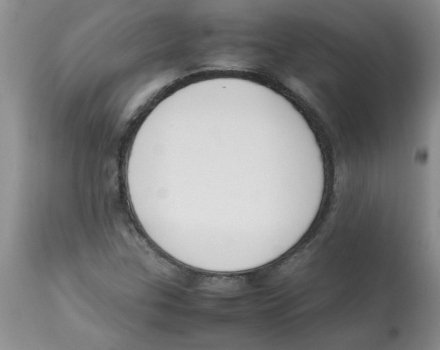 X0000112851307200909181726