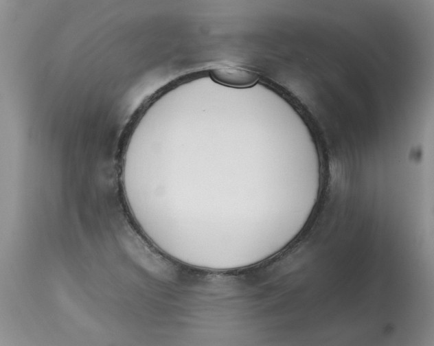 X0000112851308200909181726