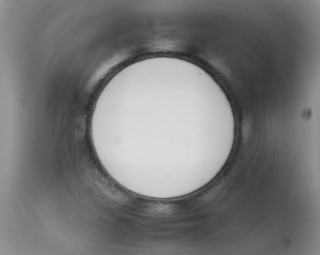 X0000112851309200909181726