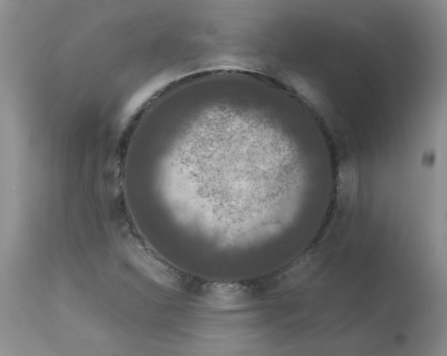 X0000112851310200909181726