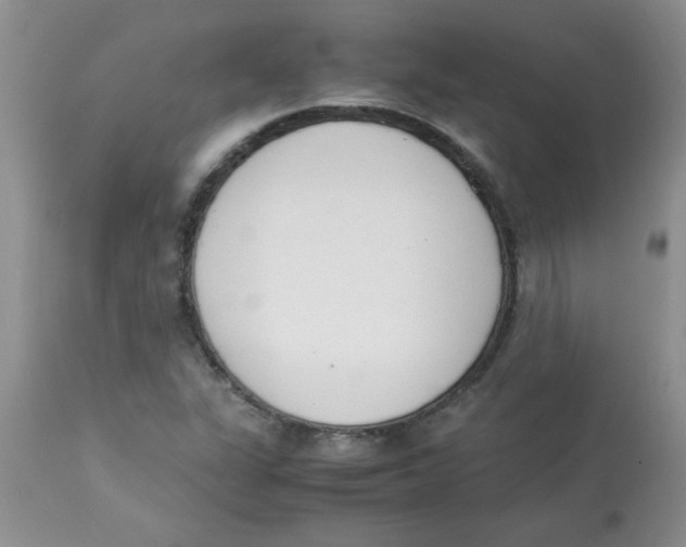 X0000112851311200909181726