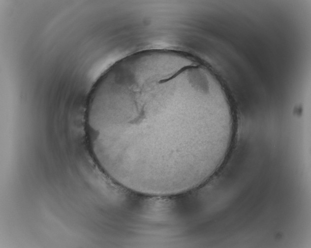 X0000112851314200909181726