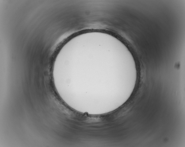 X0000112851315200909181726