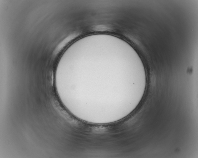 X0000112851317200909181726