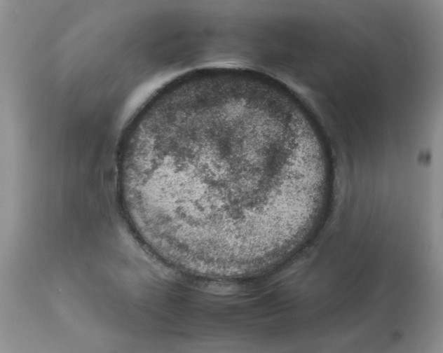 X0000112851319200909181726