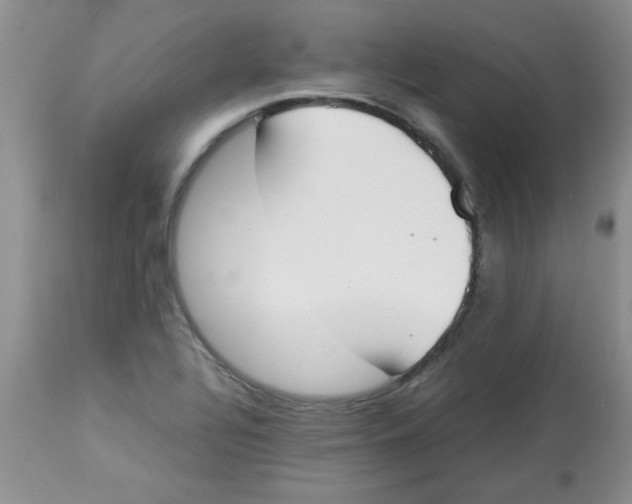 X0000112851320200909181727