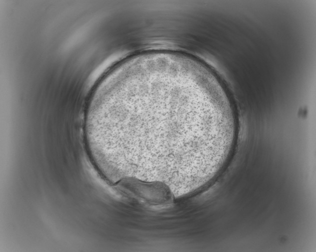 X0000112851325200909181727