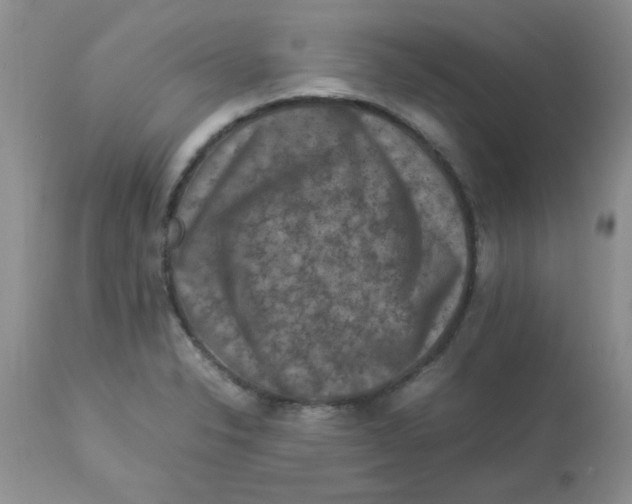 X0000112851326200909181727