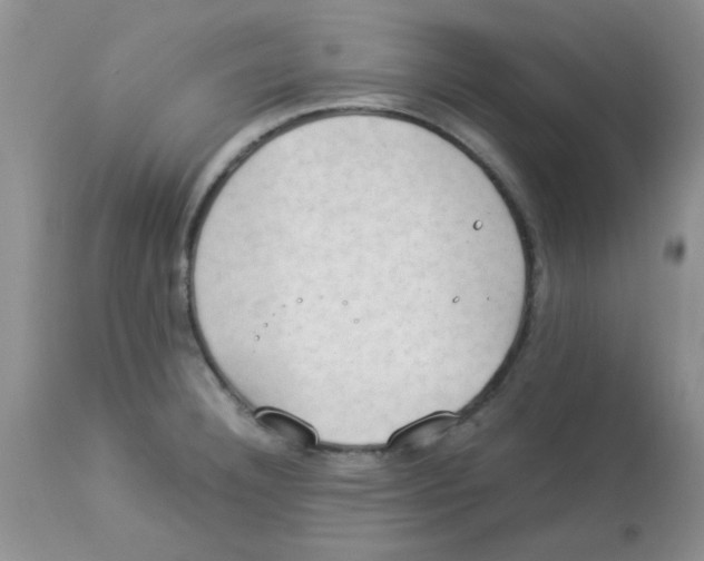 X0000112851332200909181727