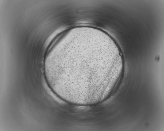 X0000112851333200909181727