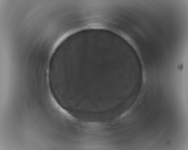 X0000112851334200909181727