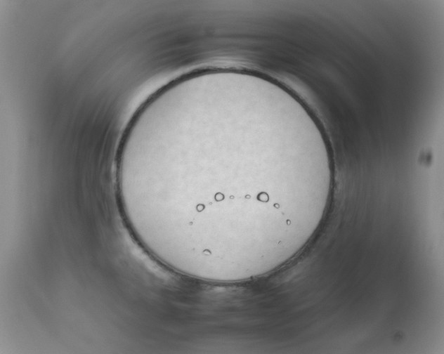 X0000112851335200909181727