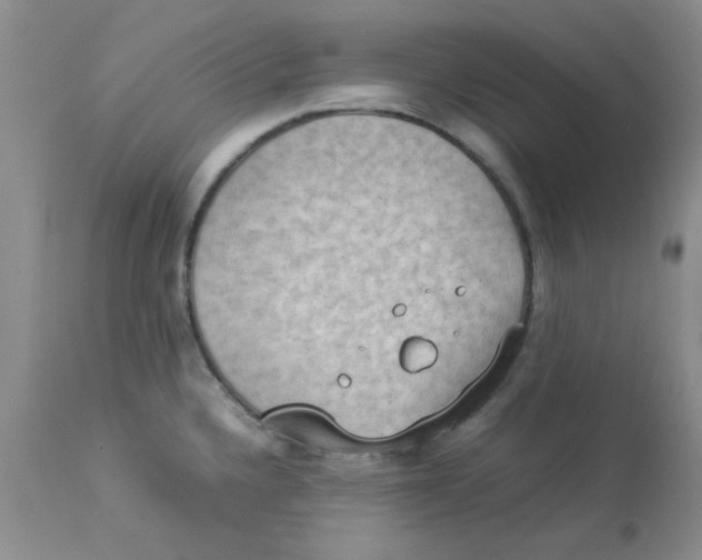 X0000112851336200909181727