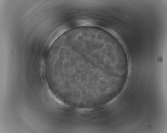 X0000112851337200909181727