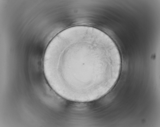 X0000112851338200909181727