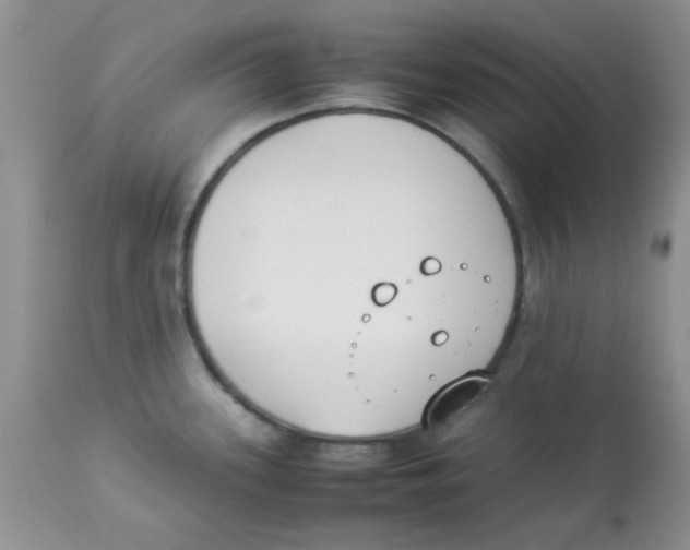 X0000112851339200909181727