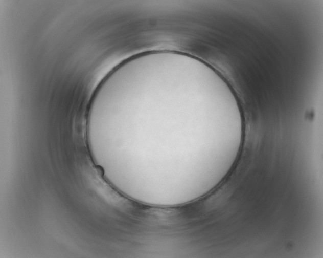 X0000112851340200909181727