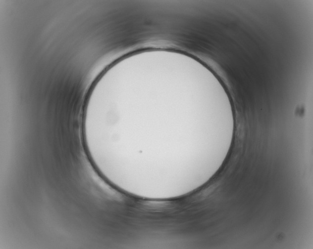 X0000112851343200909181727