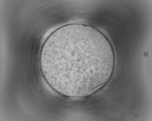 X0000112851344200909181727