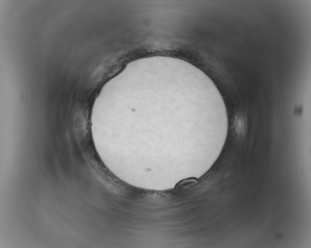 X0000112851348200909181726