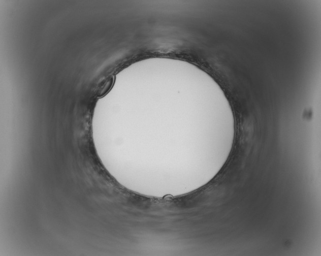 X0000112851349200909181726