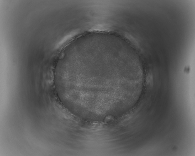 X0000112851350200909181726