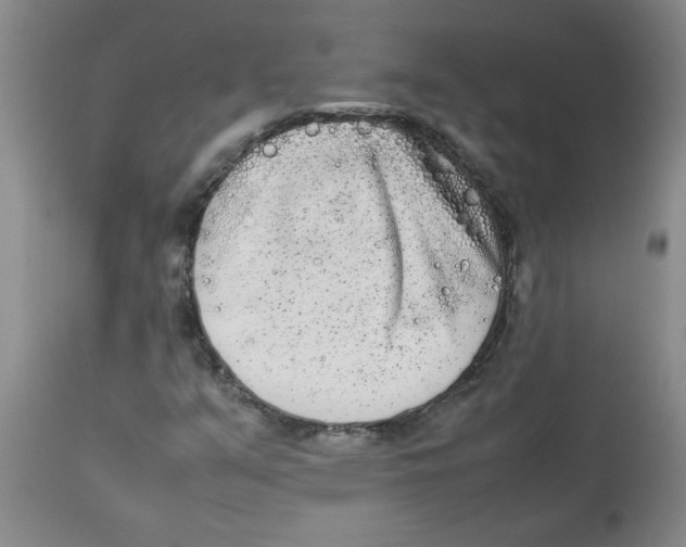 X0000112851351200909181726