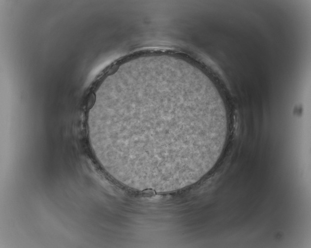 X0000112851352200909181726