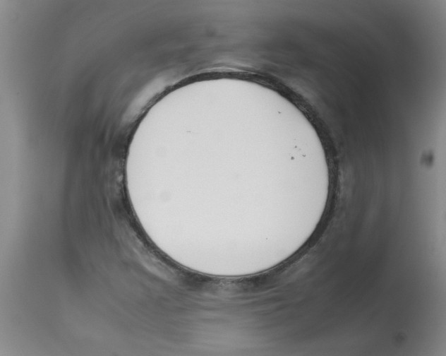 X0000112851355200909181726