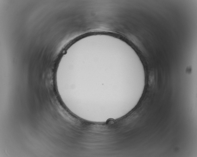 X0000112851356200909181726