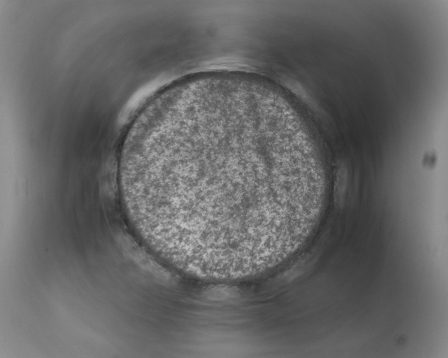 X0000112851358200909181726