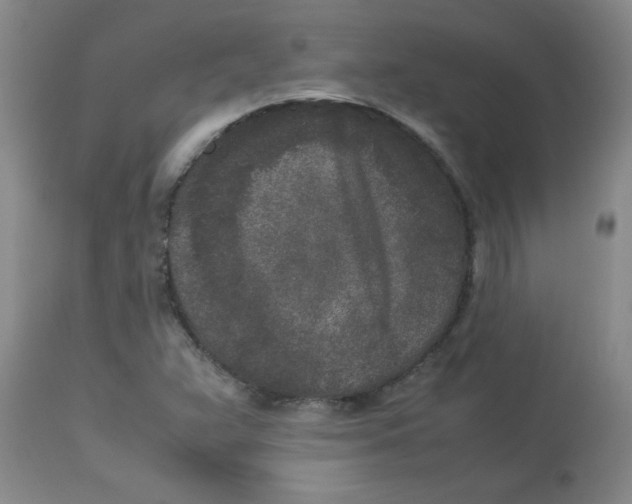 X0000112851359200909181726