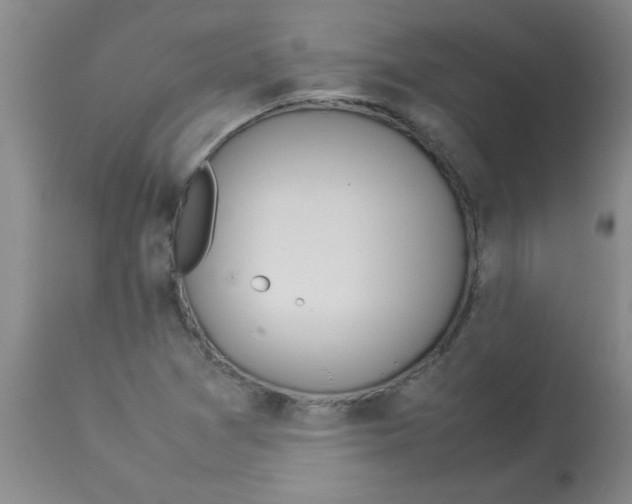 X0000112851361200909181726