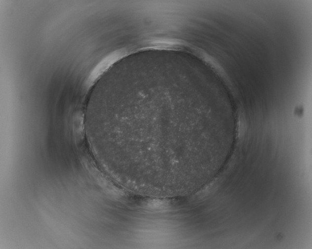 X0000112851362200909181726