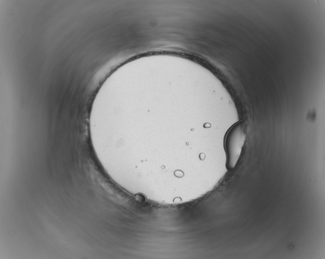 X0000112851363200909181726