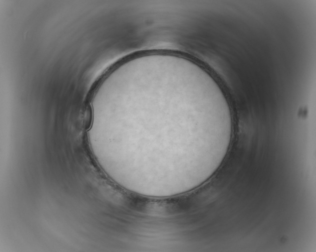 X0000112851364200909181726