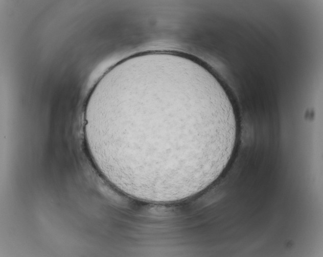 X0000112851366200909181726