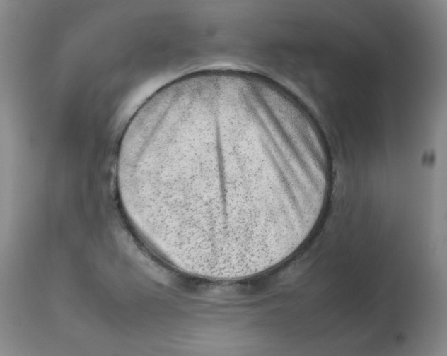 X0000112851367200909181726