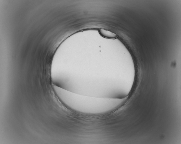 X0000112851369200909181726