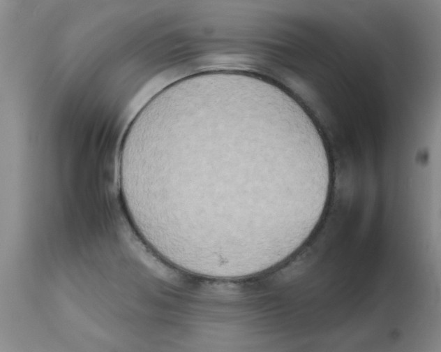 X0000112851370200909181726