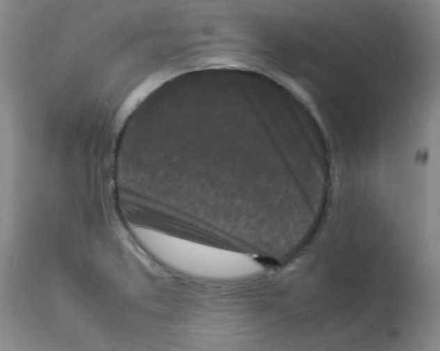 X0000112851373200909181726