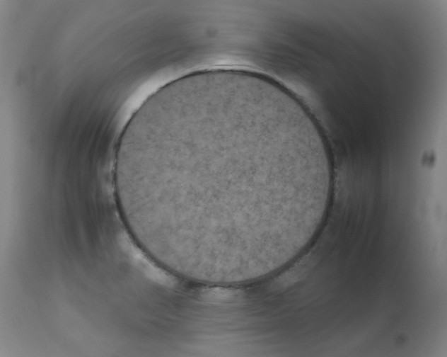 X0000112851374200909181726