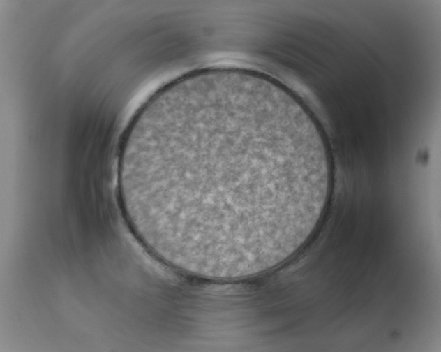 X0000112851376200909181726