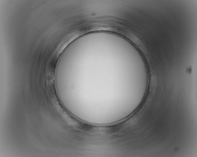 X0000112851377200909181726