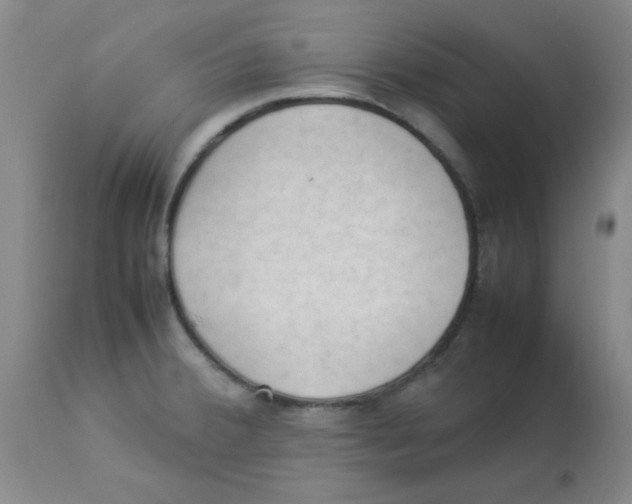 X0000112851380200909181726