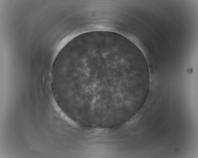 X0000112851381200909181726