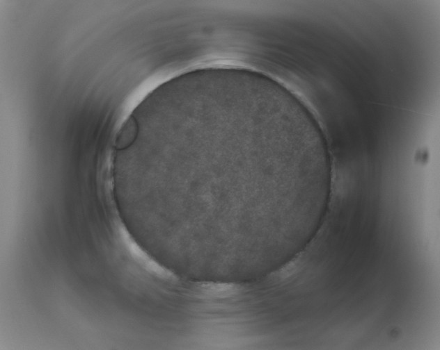 X0000112851382200909181726