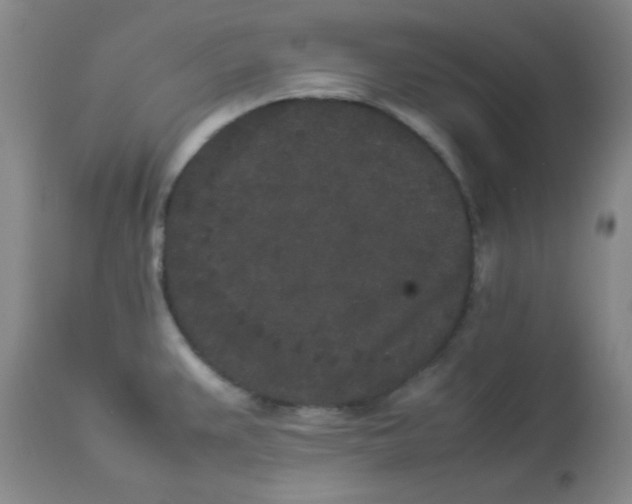 X0000112851383200909181725