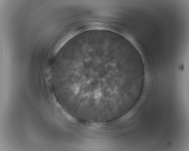 X0000112851385200909181725